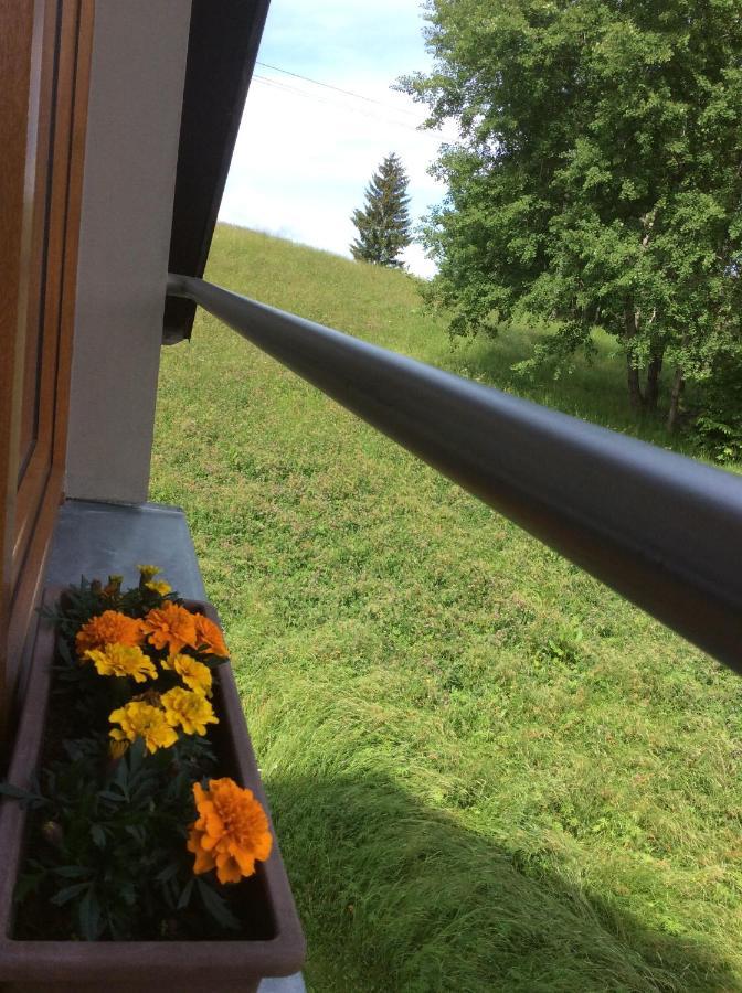 Apartman Odolov Jestrebi Hory Male Svatonovice ภายนอก รูปภาพ