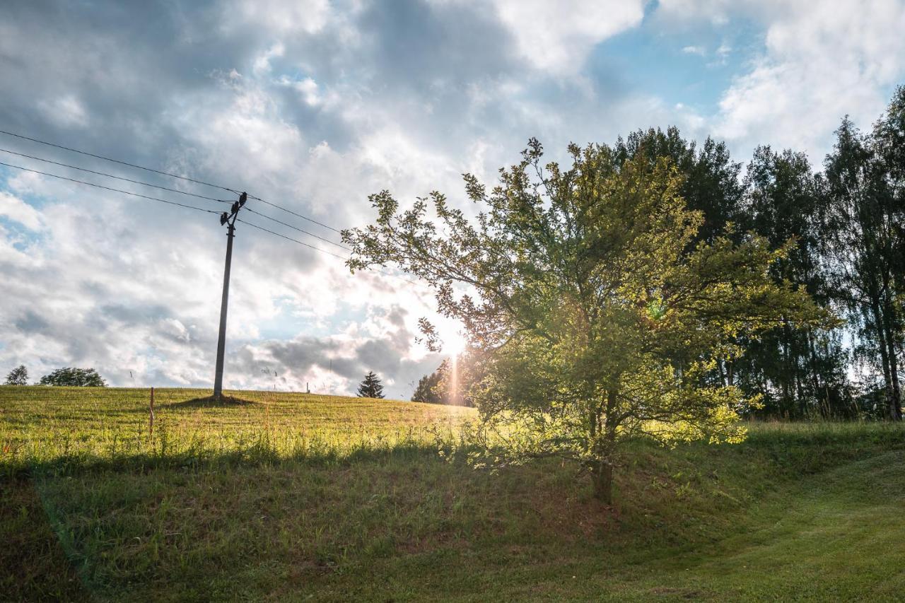 Apartman Odolov Jestrebi Hory Male Svatonovice ภายนอก รูปภาพ